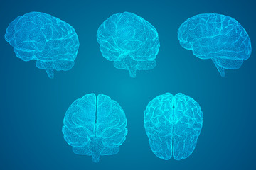 校园甜宠小说排行榜