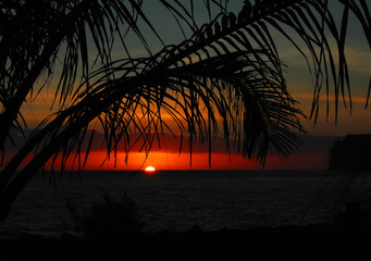 中国人民解放军三十八位现役上将名单有哪些？