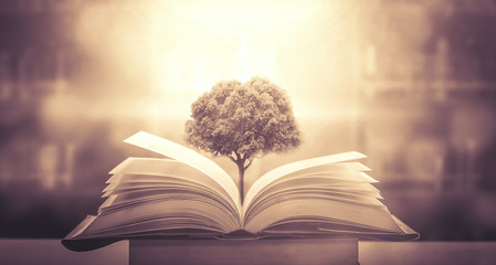 校园甜宠小说排行榜