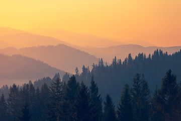 我国最大钻石为什么至今下落不明呢？