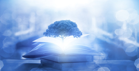 微信登录王者荣耀被纳入防沉迷怎么解除-