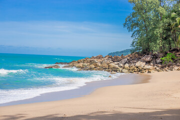 为什么叫动漫4大人渣