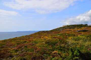 我国最大钻石为什么至今下落不明呢？