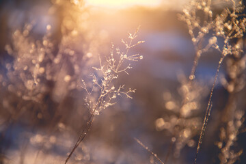 小圈中gj和sj的意思