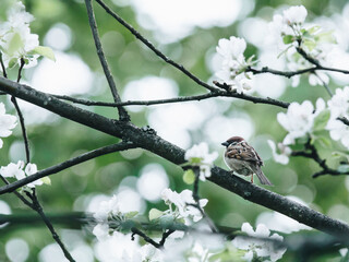长沙黄花机场到长沙南站需要多久