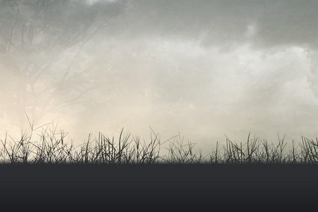 小米、华为、三星：当下三款主流折叠屏手机摸机对比