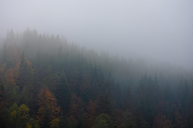 淮河的洪灾统计数据