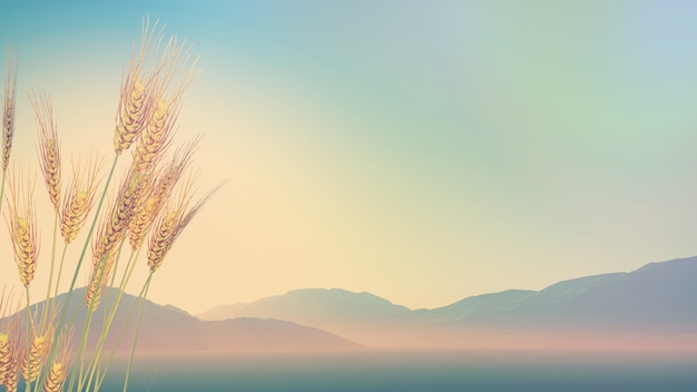 校园甜宠小说排行榜