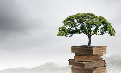 长沙黄花机场到长沙南站需要多久