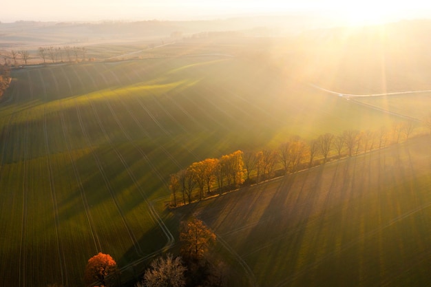A股严重被低估的票有哪些？