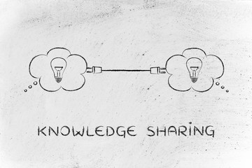 我国最大钻石为什么至今下落不明呢？